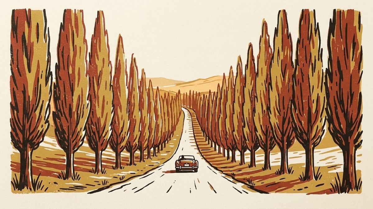 A narrow country road running away into the distance between two rows of tall poplars, with a small open-topped roadster far down it.